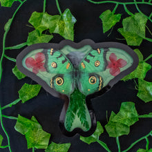 Load image into Gallery viewer, Green Moth Tray