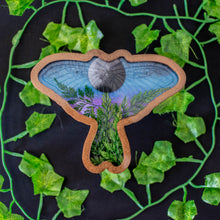 Load image into Gallery viewer, Forest Night Moth Tray
