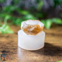 Load image into Gallery viewer, 1.5" Faceted Mini Dish Mold