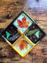 Load image into Gallery viewer, 6.5” Square Tray Mold