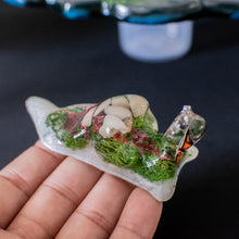 Load image into Gallery viewer, Toothy Snooth Figurine
