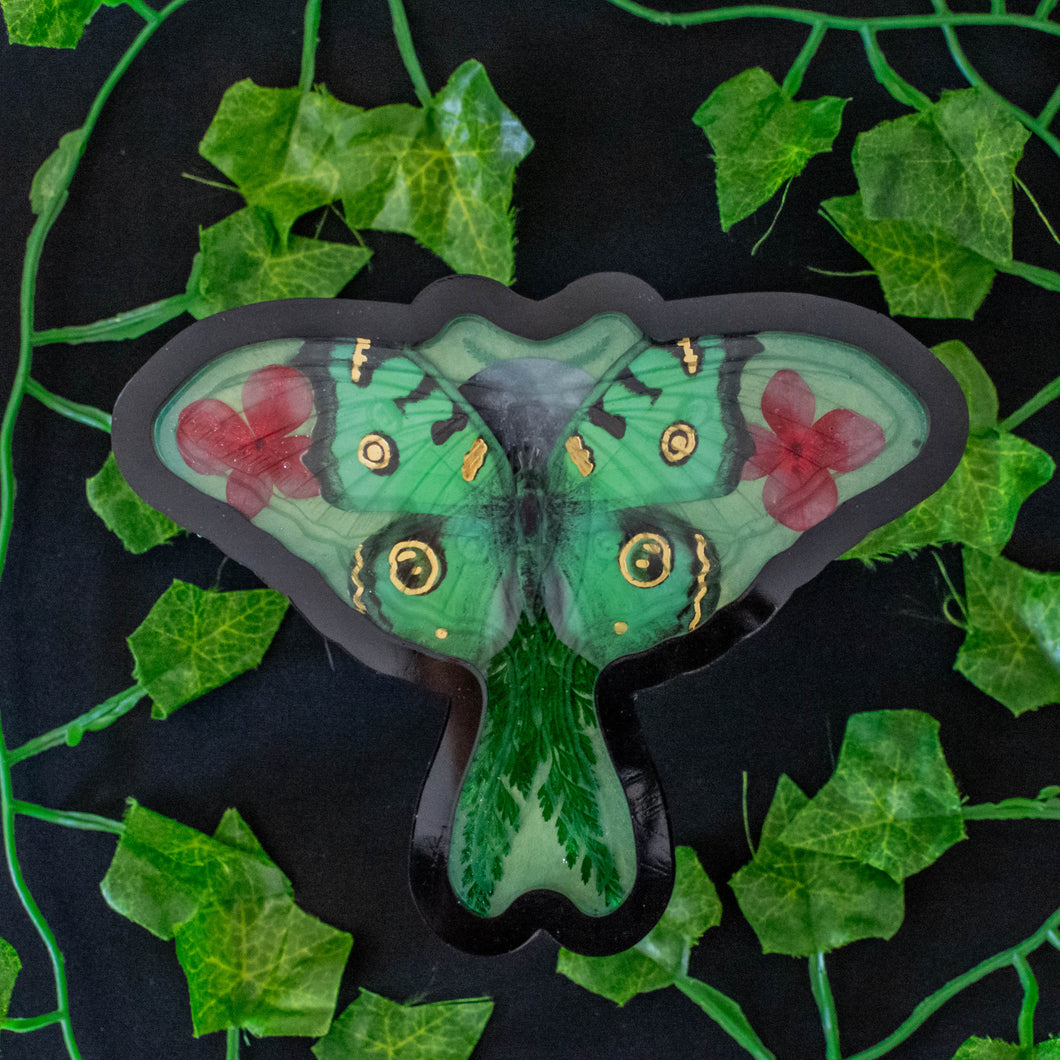 Green Moth Tray