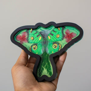 Green Moth Tray